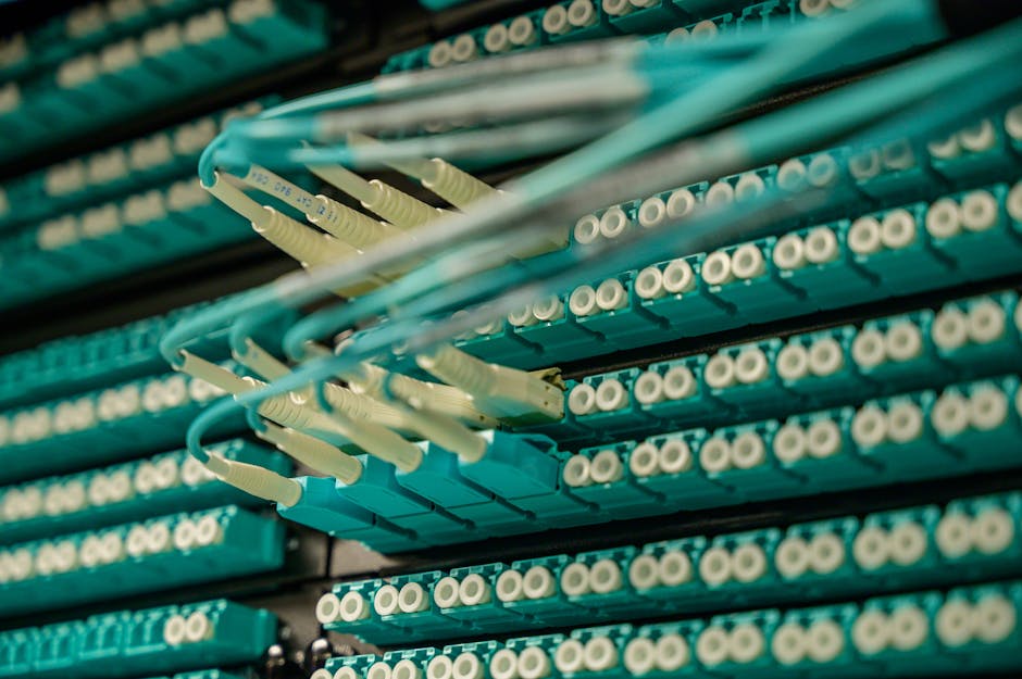 Beste FTTX Installations-Box im Test: Kaufberatung